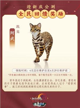 天龙八部私服升级最快路线推荐：高手进阶必看